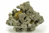 Golden Pyrite on Limonite Clay - Pakistan #283717-1